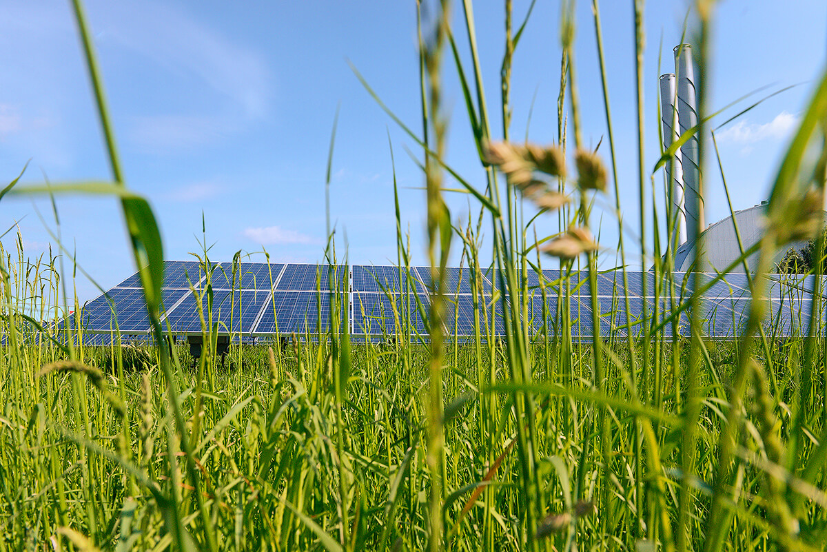 buergersolarkraftwerk_rosiwalgasse