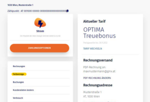 Screenshot der zeigt, in welchen Bereichen Änderungen für das ausgewählte Produkt vorgenommen werden können